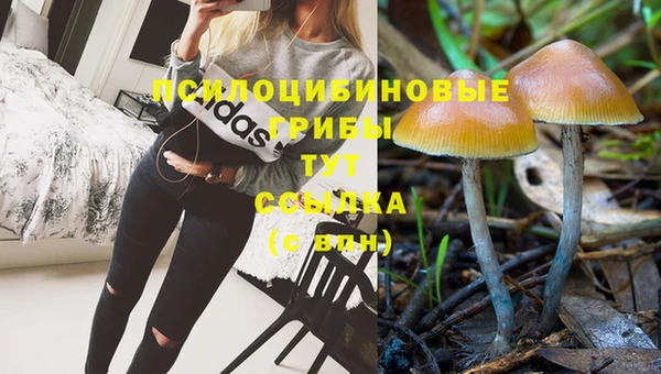 каннабис Белокуриха